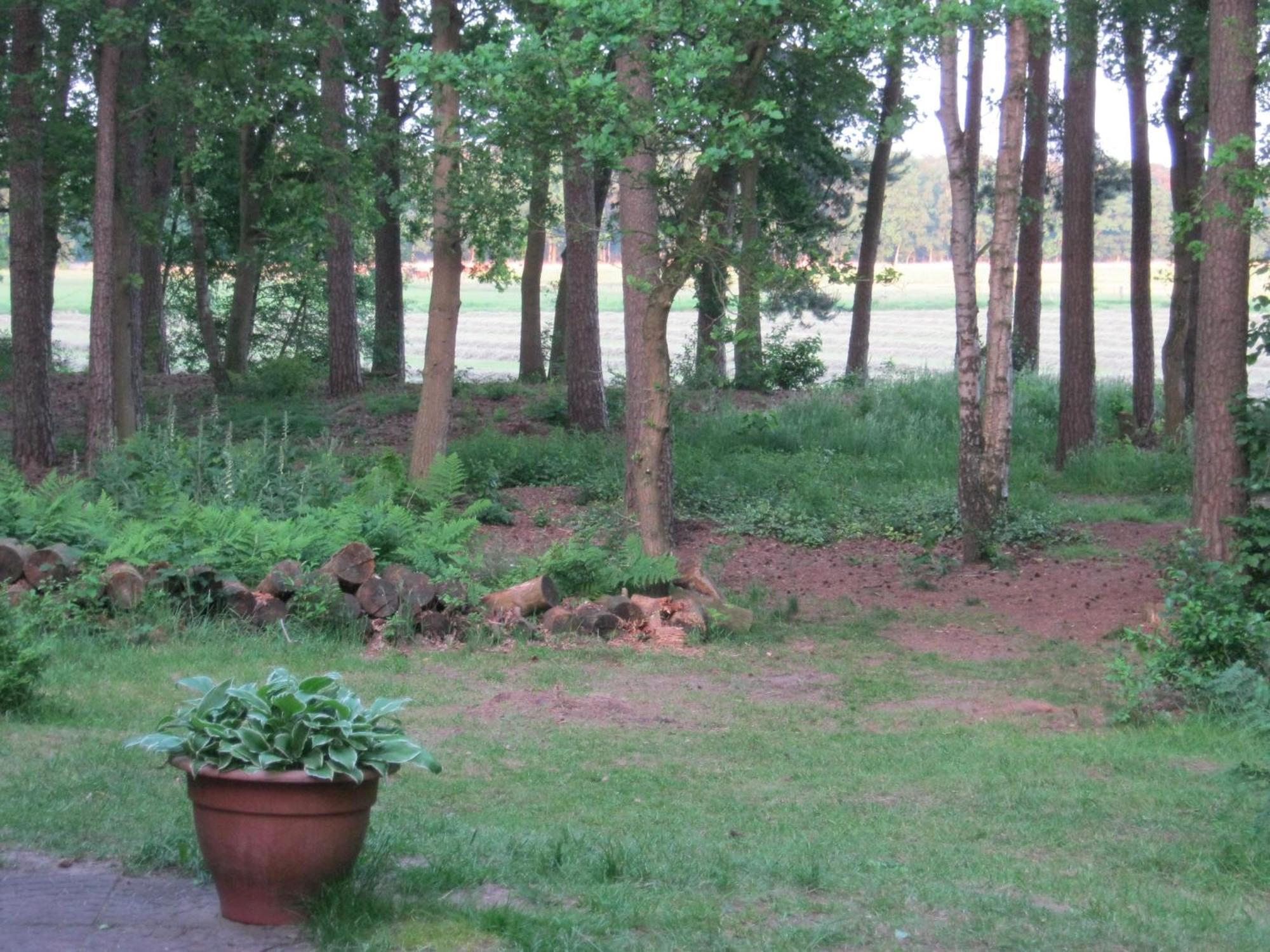Vakantiehuis Op Top Locatie #Ommen Extérieur photo