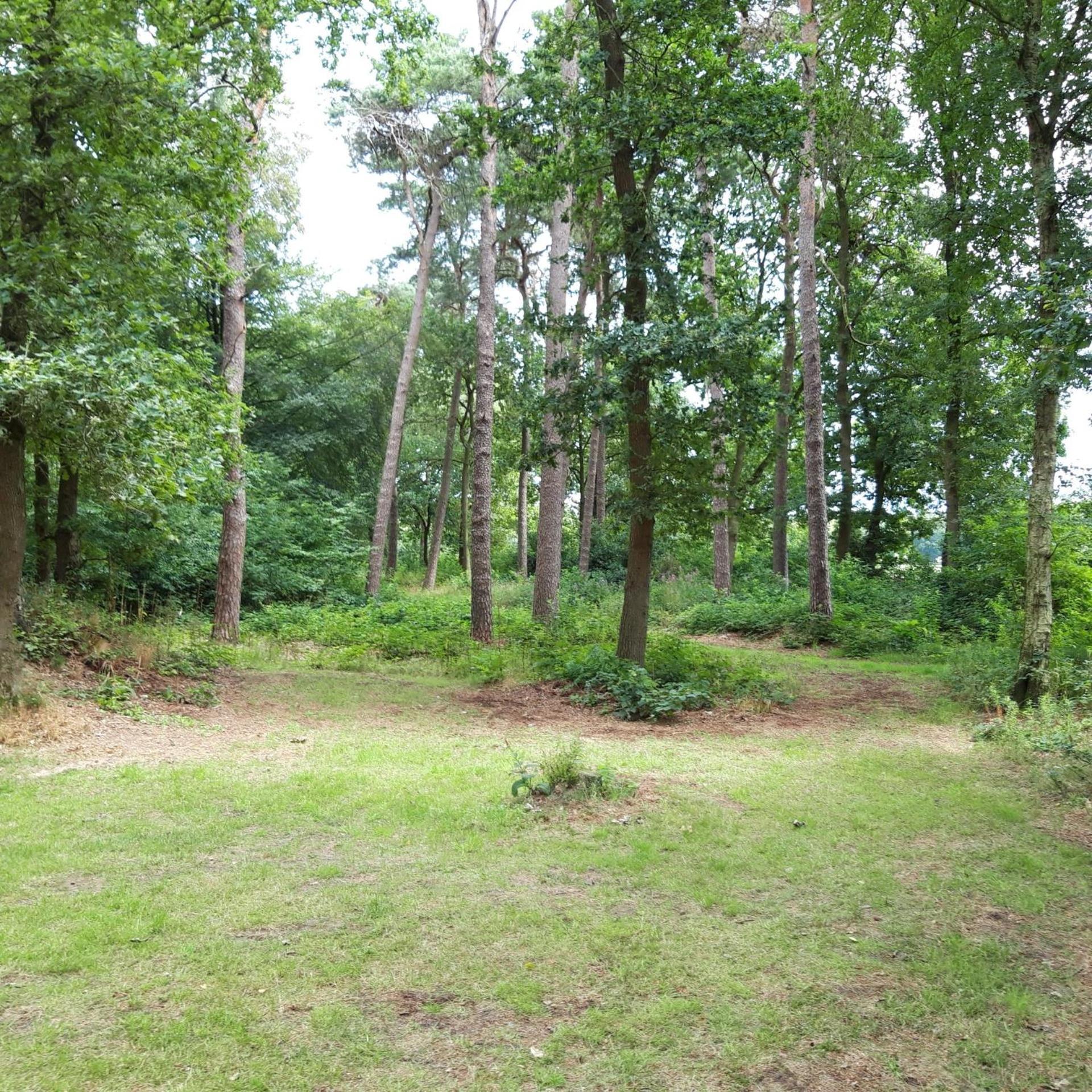 Vakantiehuis Op Top Locatie #Ommen Extérieur photo