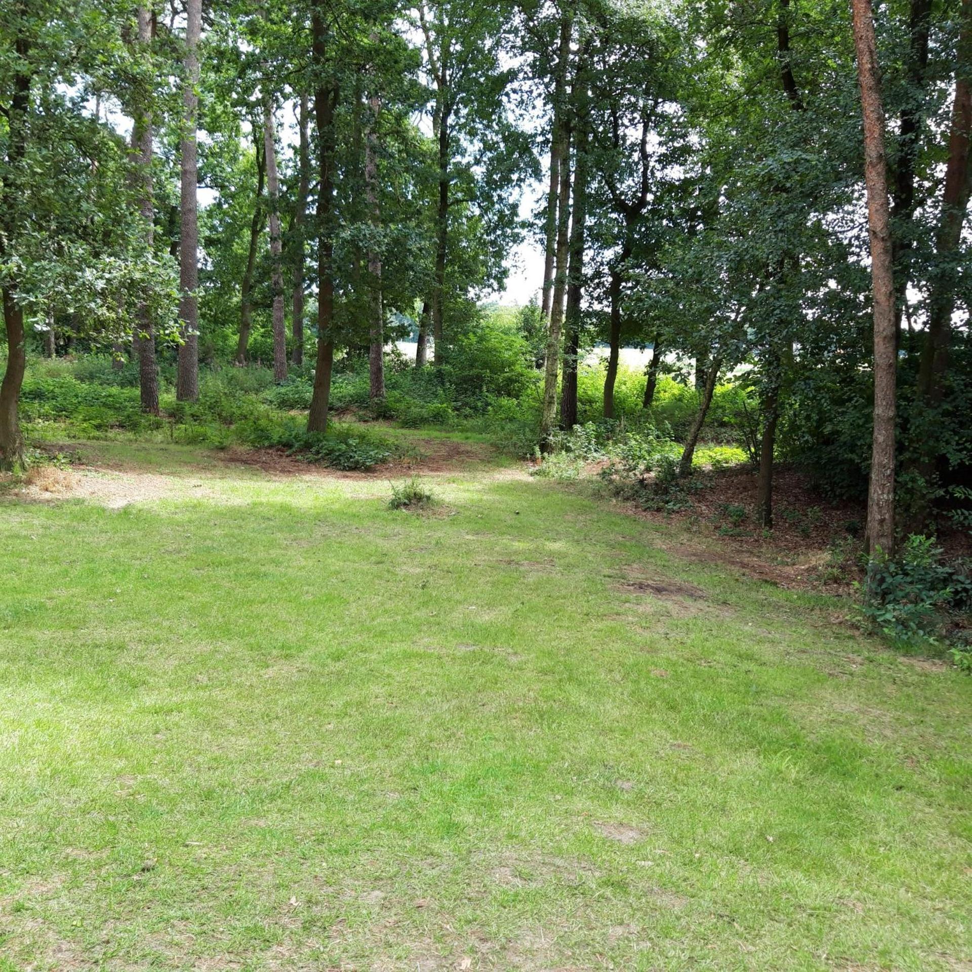 Vakantiehuis Op Top Locatie #Ommen Extérieur photo